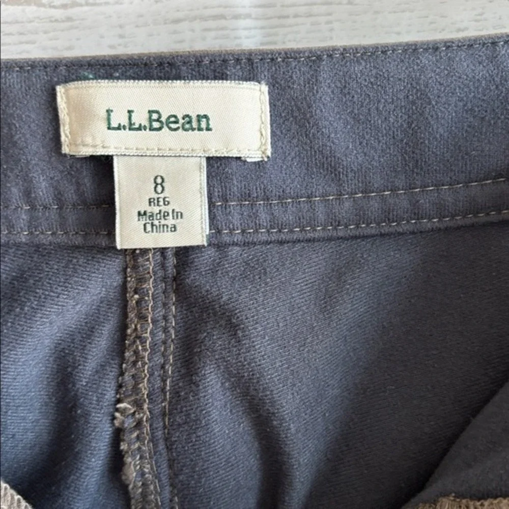 LL Bean Comfort Trail Pants Lined Ash Brown hiking camping cabin 31
